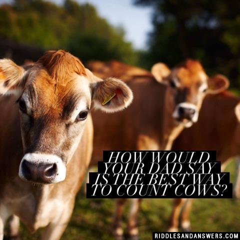 How would your dad say is the best way to count cows?