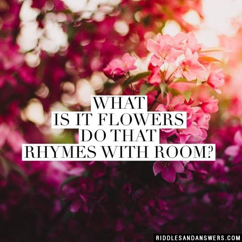 What is it flowers do that rhymes with room?