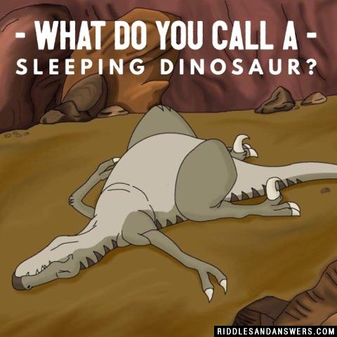 What do you call a sleeping dinosaur?