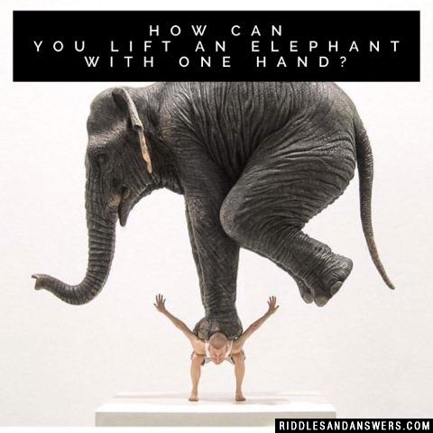 How can you lift an elephant with one hand? 