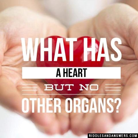 What has a Heart but no other organs?