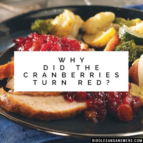Why did the cranberries turn red?