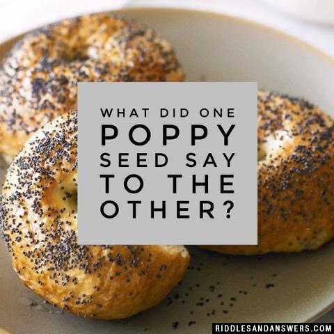 What did one poppy seed say to the other?
