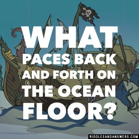 What paces back and forth on the ocean floor?