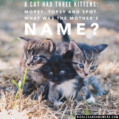 A cat had three kittens: Mopsy, Topsy and Spot. What was the mother's name?