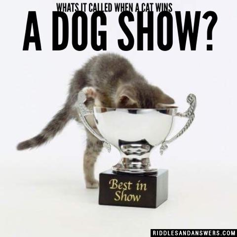 Whats it called when a cat wins a dog show?