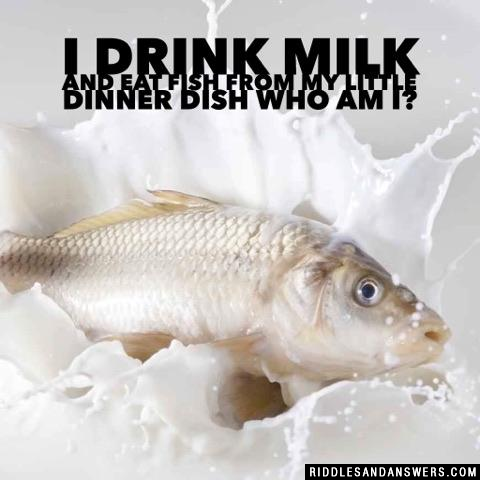 I drink milk and eat fish from my little dinner dish who am I?