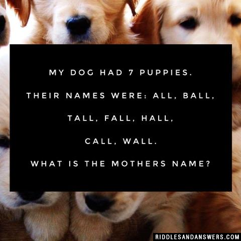 My Dog had 7 Puppies. Their names were: All, Ball, Tall, Fall, Hall, Call, Wall. What is the mothers name?