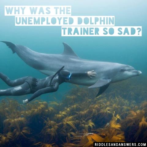 Why was the unemployed dolphin trainer so sad?