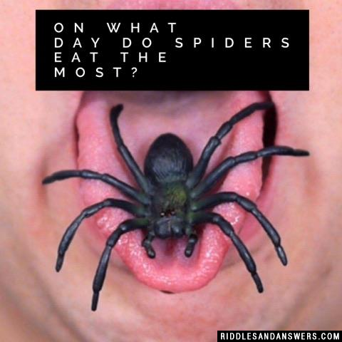On what day do spiders eat the most?