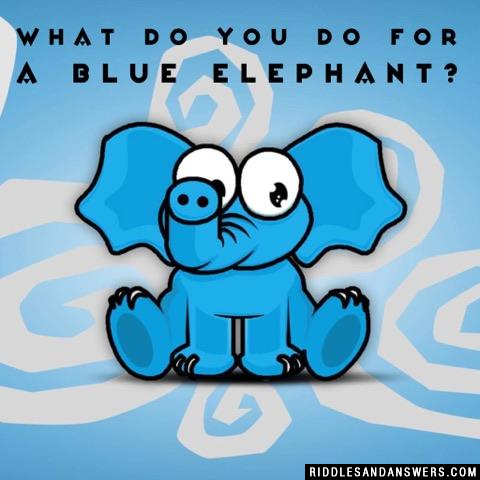 What do you do for a blue elephant?