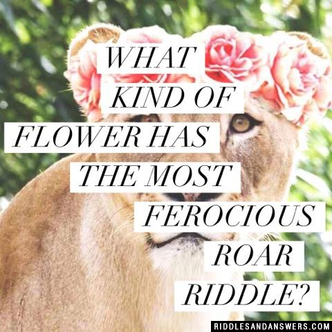 What kind of flower has the most ferocious roar riddle?
