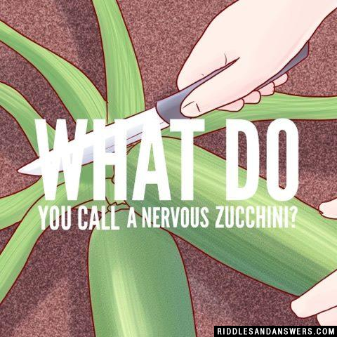 What do you call a nervous zucchini?