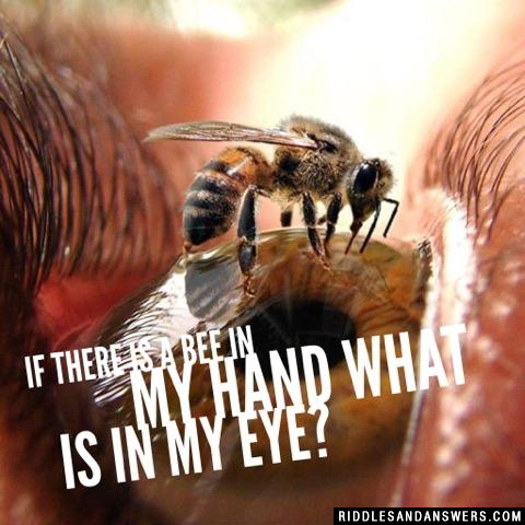 If there is a bee in my hand what is in my eye?