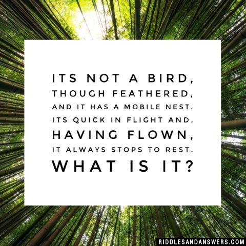 Its not a bird, though feathered, and
it has a mobile nest.
Its quick in flight and, having flown,
it always stops to rest.

What is it?