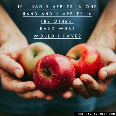 If I had 5 apples in one hand and 6 apples in the other, hand what would I have?