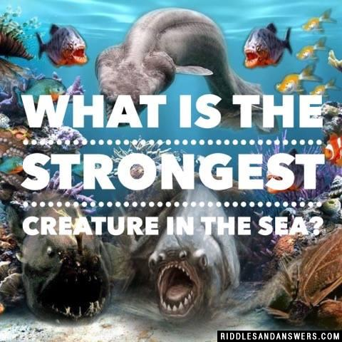 What is the strongest creature in the sea?