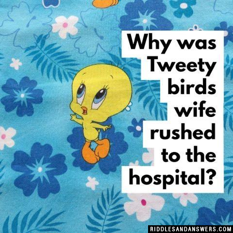 Why was Tweety birds wife rushed to the hospital?