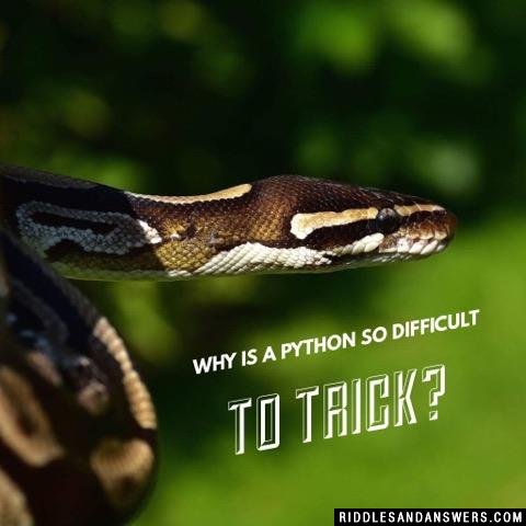 Why is a python so difficult to trick?