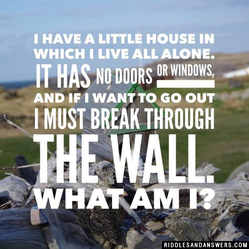 I have a little house in which I live all alone. It has no doors or windows, and if I want to go out I must break through the wall. What am I?