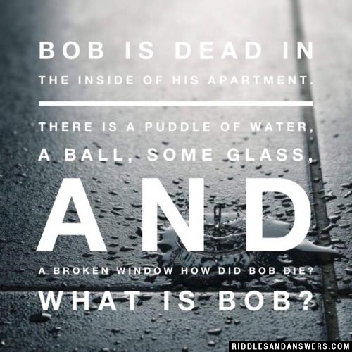 Bob is dead in the INSIDE of his apartment. There is a puddle of water, a ball, some glass, and a broken window How did Bob die? What is Bob?