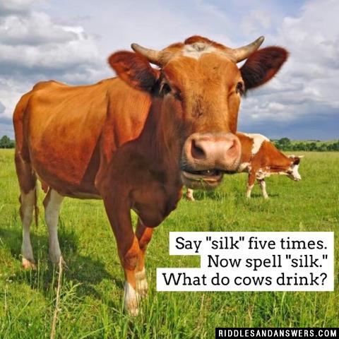 Say "silk" five times. Now spell "silk." What do cows drink? 