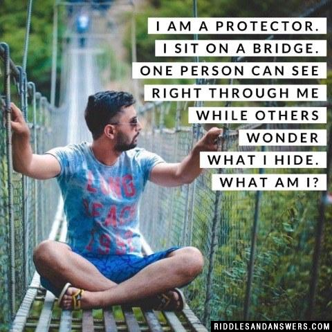 I am a protector. I sit on a bridge. One person can see right through me while others wonder what I hide. What am I?