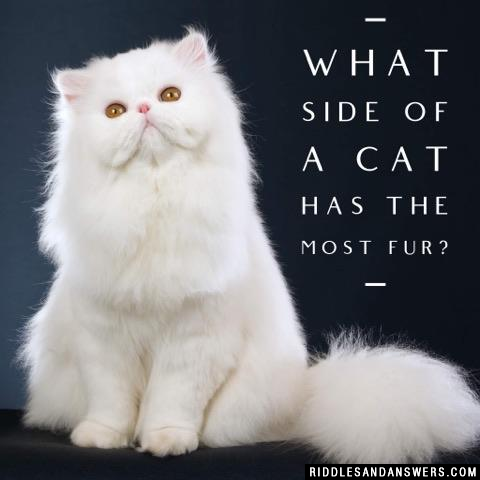 What side of a cat has the most fur?
