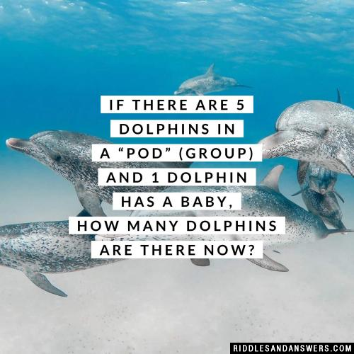 If there are 5 dolphins in a pod (group) and 1 dolphin has a baby, how many dolphins are there now?