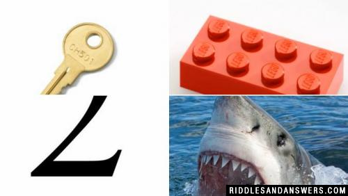 Can you solve the key lego 2 shark riddle?