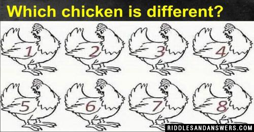 Which chicken is different?