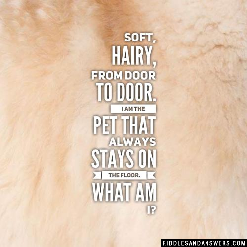 Soft, hairy, from door to door. I am the pet that always stays on the floor. What am I?