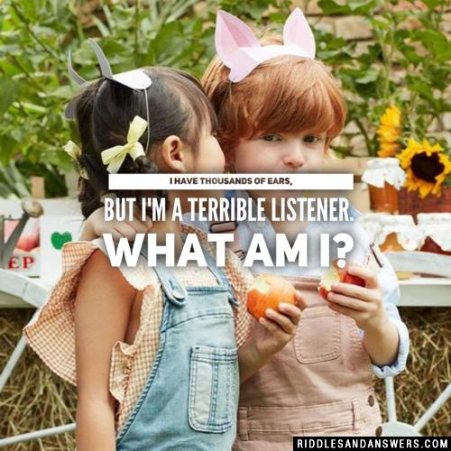I have thousands of ears, but I'm a terrible listener. What am I?