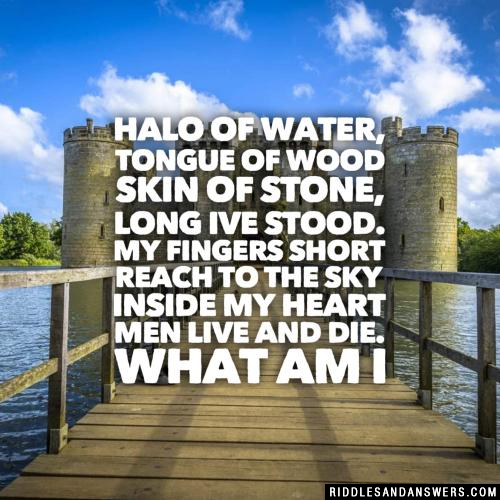 Halo of water, tongue of wood
Skin of stone, long Ive stood.
My fingers short reach to the sky
Inside my heart men live and die.

What am I