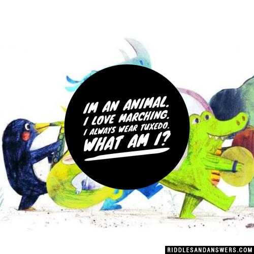 I Am An Animal I Love Marching Riddle I Am An Animal I Love Marching Riddle