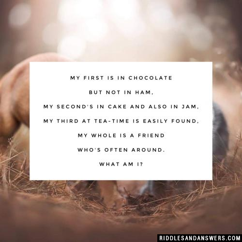 My first is in chocolate but not in ham, my second's in cake and also in jam, my third at tea-time is easily found, my whole is a friend who's often around. What am I?